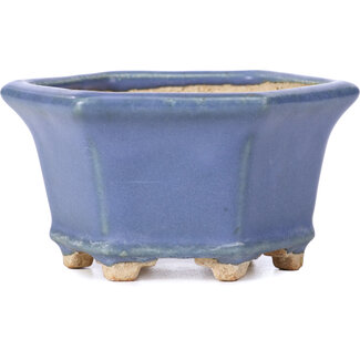  Hattori Tomoyuki 90 mm hexagonal blue bonsai pot by Hattori, Tokoname, Japan