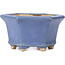 Hexagonal blue bonsai pot by Hattori - 90 x 80 x 50 mm