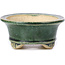 Oval green bonsai pot by Shibakatsu - 125 x 100 x 50 mm