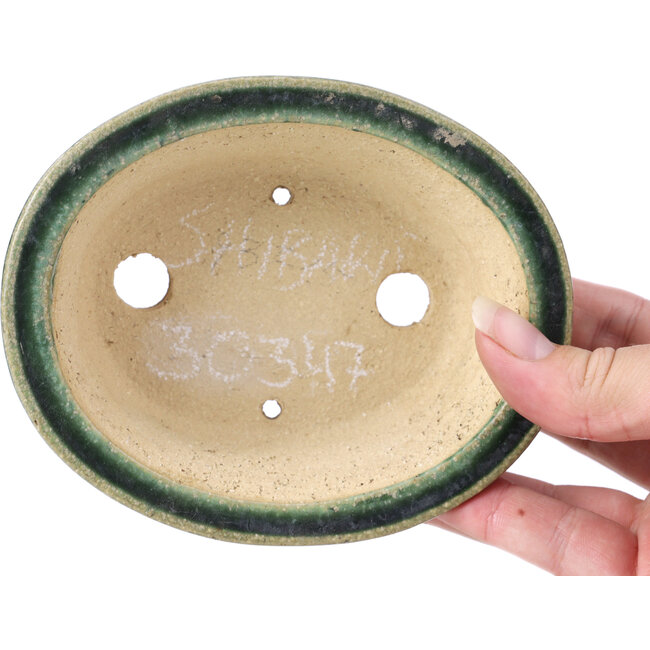 Oval green bonsai pot by Shibakatsu - 125 x 100 x 50 mm