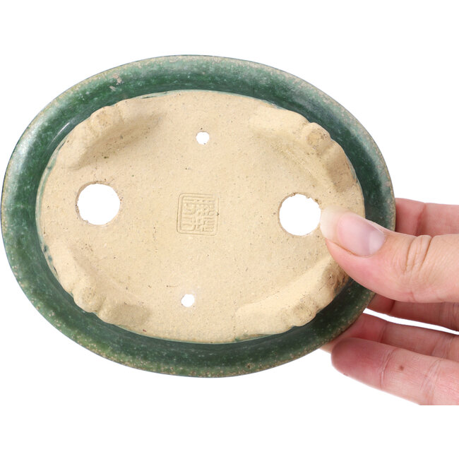 Vaso bonsai ovale verde di Shibakatsu - 125 x 100 x 50 mm