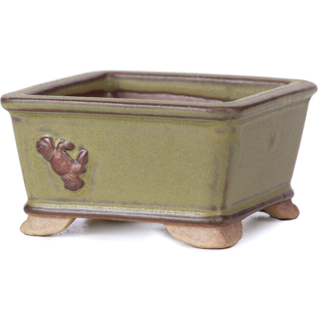 Square green bonsai pot - 65 x 65 x 35 mm