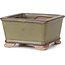 Pot à bonsaï carré vert - 65 x 65 x 35 mm