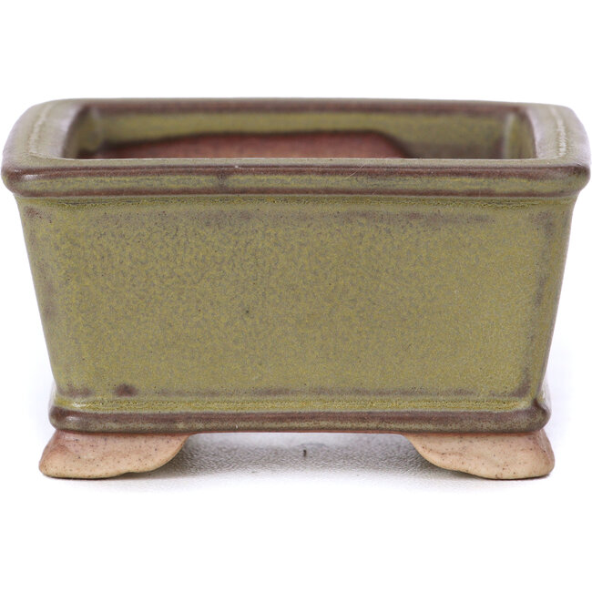 Vierkante groene bonsaipot - 65 x 65 x 35 mm