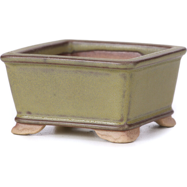 Pot à bonsaï carré vert - 65 x 65 x 35 mm