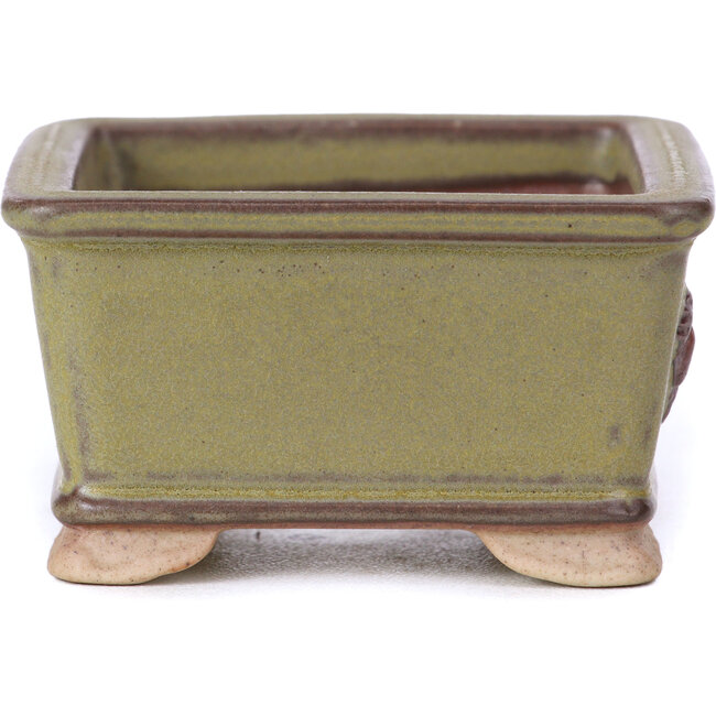 Vierkante groene bonsaipot - 65 x 65 x 35 mm