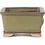 Pot à bonsaï carré vert - 65 x 65 x 35 mm