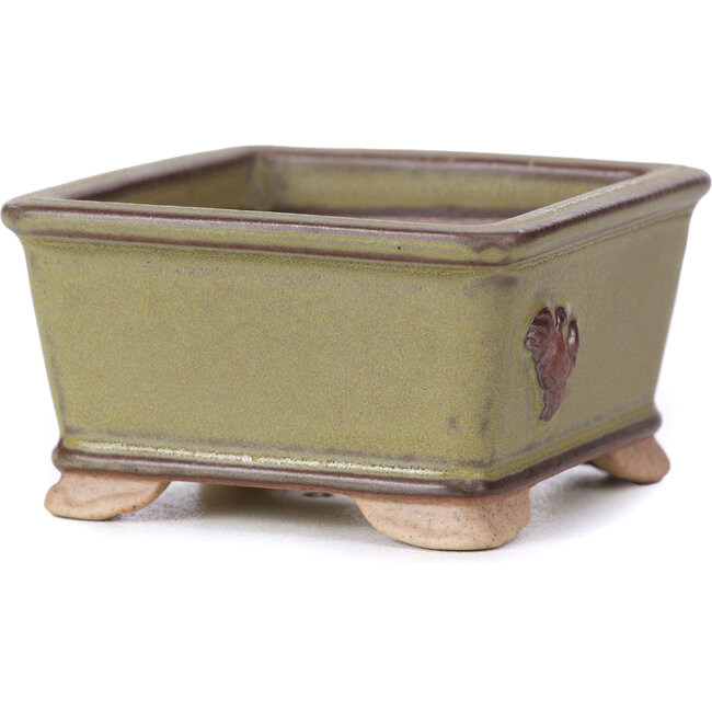 Vaso per bonsai quadrato verde - 65 x 65 x 35 mm