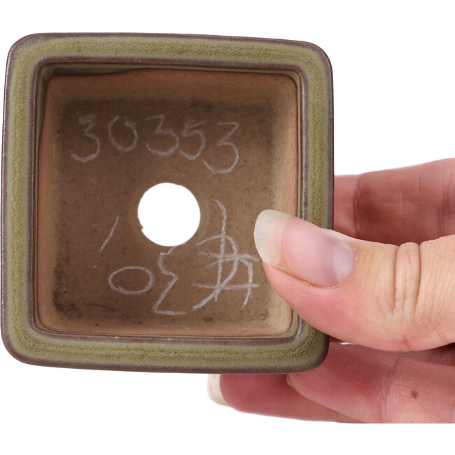 Pot à bonsaï carré vert - 65 x 65 x 35 mm