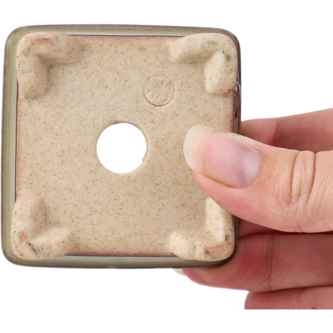 Pot à bonsaï carré vert - 65 x 65 x 35 mm