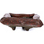 Vaso rettangolare per bonsai rosso di Tosui - 80 x 65 x 32 mm