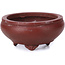 Round unglazed bonsai pot by Bigei - 50 x 50 x 25 mm