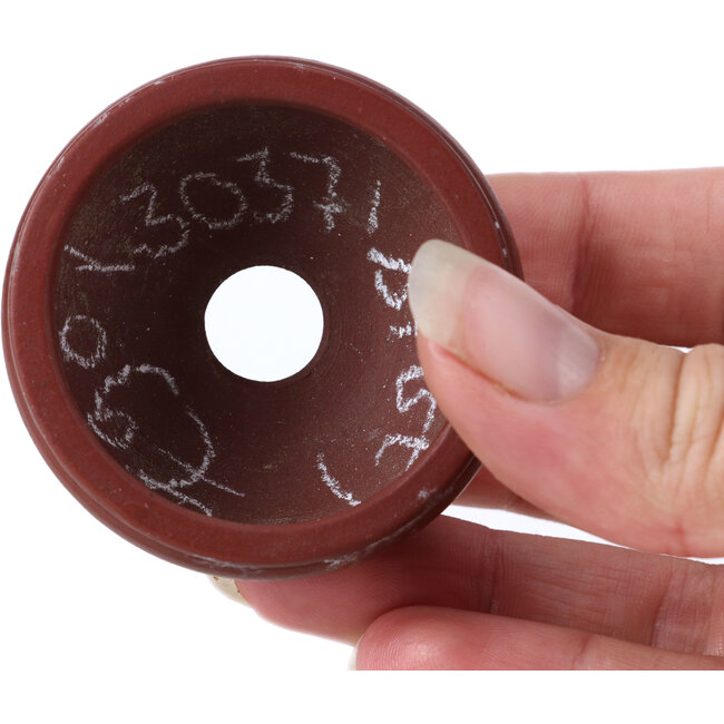 Pot à bonsaï rond non émaillé par Bigei - 50 x 50 x 25 mm