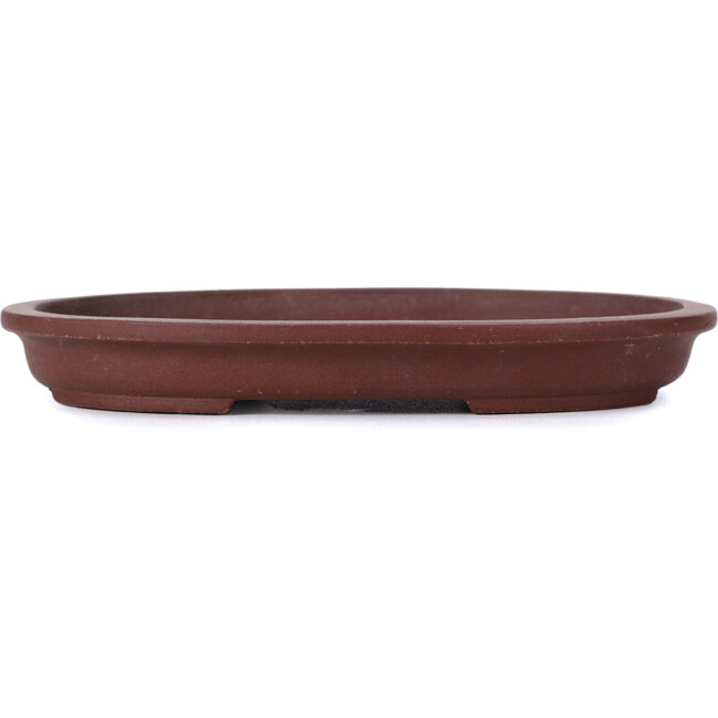 Maceta de bonsái ovalada sin esmaltar de Shibakatsu - 155 x 115 x 20 mm