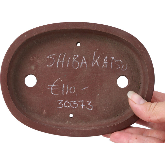 Vaso per bonsai ovale non smaltato di Shibakatsu - 155 x 115 x 20 mm