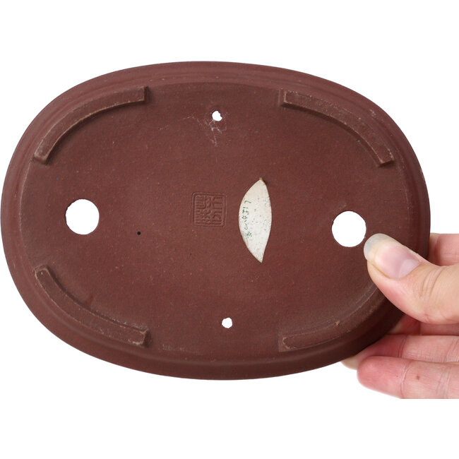 Pot à bonsaï ovale non émaillé par Shibakatsu - 155 x 115 x 20 mm