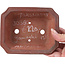 Pot à bonsaï rectangulaire non émaillé par Yamaaki - 143 x 113 x 40 mm