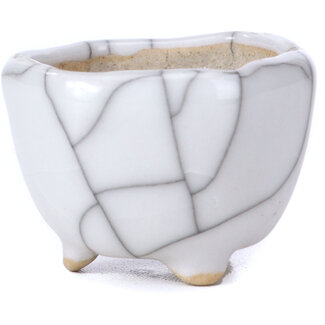  Other Tokoname bonsai pot makers 40 mm hexagonal white pot from Tokoname, Japan