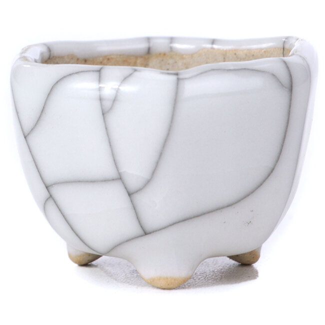 Zeshoekige witte bonsaipot - 40 x 40 x 30 mm