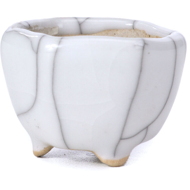 Maceta de bonsái blanca hexagonal - 40 x 40 x 30 mm