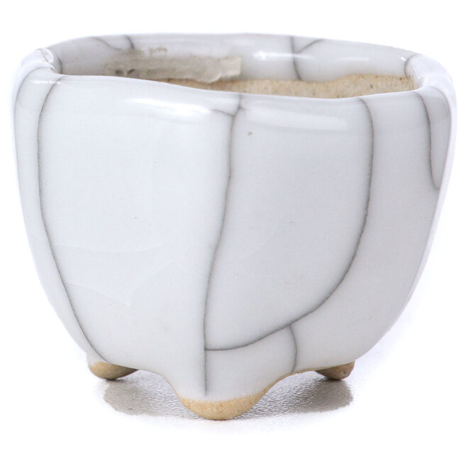 Maceta de bonsái blanca hexagonal - 40 x 40 x 30 mm