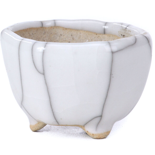 Vaso per bonsai esagonale bianco - 40 x 40 x 30 mm