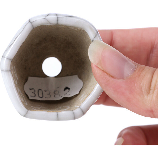 Vaso per bonsai esagonale bianco - 40 x 40 x 30 mm