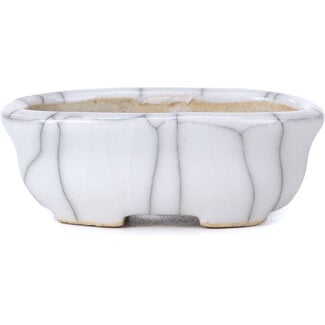  Other Tokoname bonsai pot makers Vaso bianco ovale da 65 mm di Tokoname, Giappone