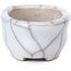 Vaso per bonsai ovale bianco - 65 x 40 x 25 mm