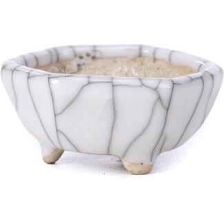  Other Tokoname bonsai pot makers Vaso bianco esagonale da 45 mm di Tokoname, Giappone