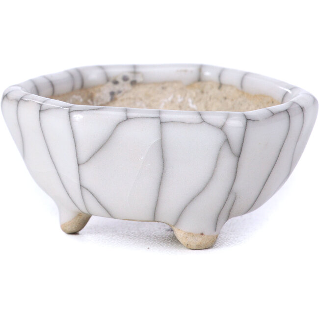 Hexagonal white bonsai pot - 45 x 45 x 22 mm