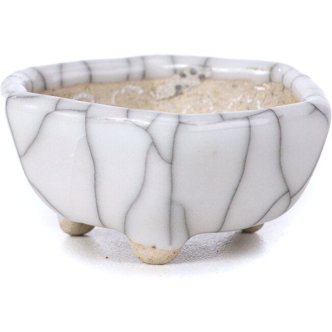 Pot à bonsaï blanc hexagonal - 45 x 45 x 22 mm