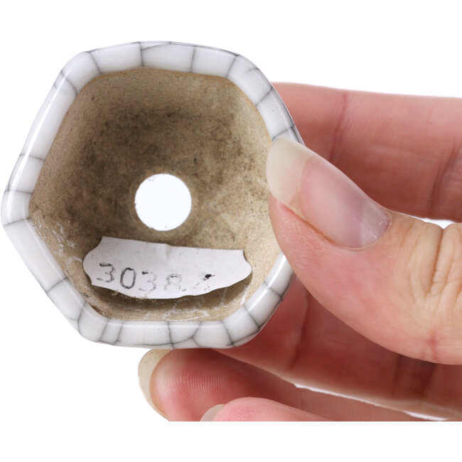 Maceta de bonsái blanca hexagonal - 45 x 45 x 22 mm