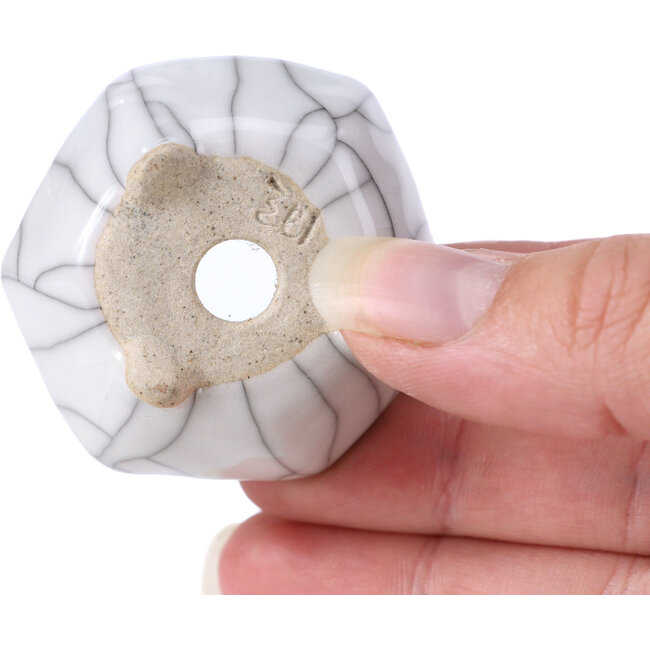 Zeshoekige witte bonsaipot - 45 x 45 x 22 mm