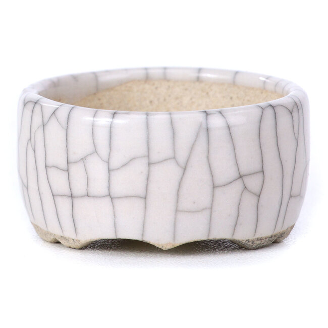 Ronde witte bonsaipot - 45 x 45 x 20 mm