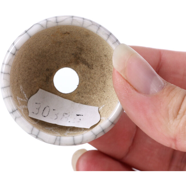 Ronde witte bonsaipot - 45 x 45 x 20 mm