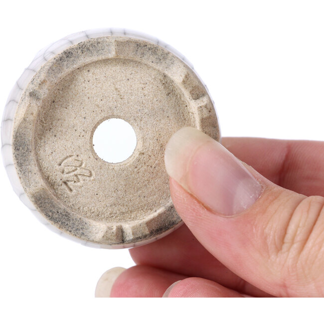 Ronde witte bonsaipot - 45 x 45 x 20 mm