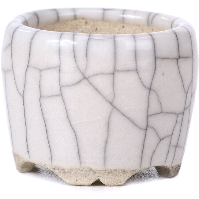 Pot à bonsaï rond blanc - 35 x 35 x 28 mm