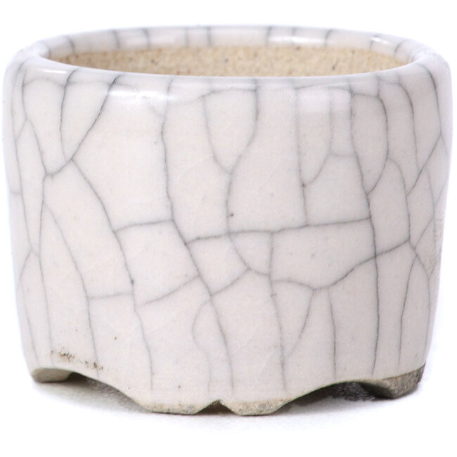 Maceta de bonsái blanca redonda - 35 x 35 x 26 mm