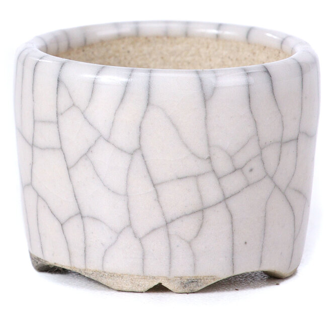 Ronde witte bonsaipot - 35 x 35 x 26 mm