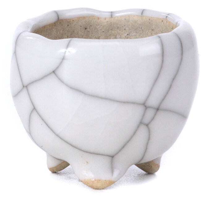 Maceta de bonsái blanca redonda - 35 x 35 x 25 mm