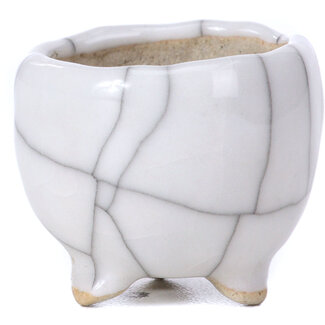  Other Tokoname bonsai pot makers 35 mm runder weißer Topf aus Tokoname, Japan