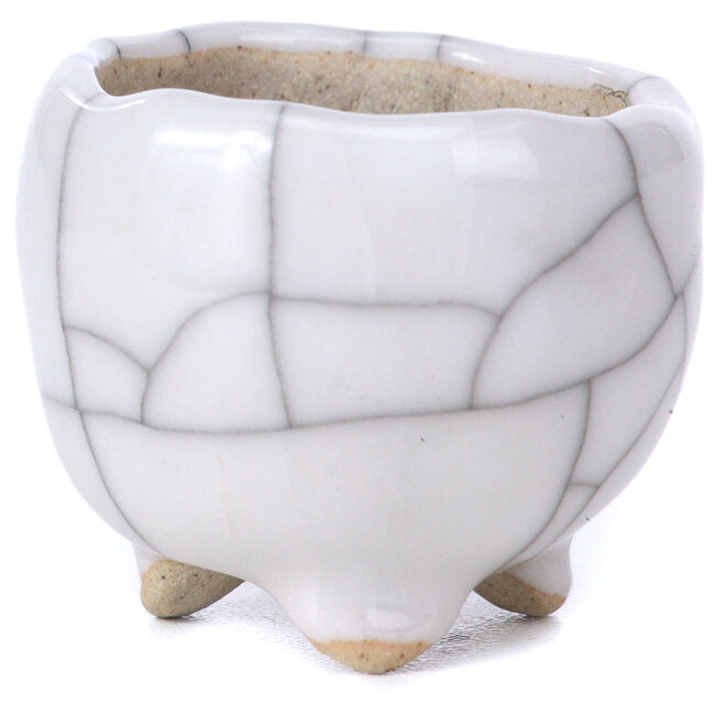 Maceta de bonsái blanca redonda - 35 x 35 x 25 mm