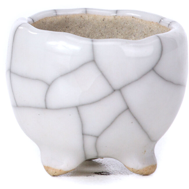 Maceta de bonsái blanca redonda - 35 x 35 x 25 mm