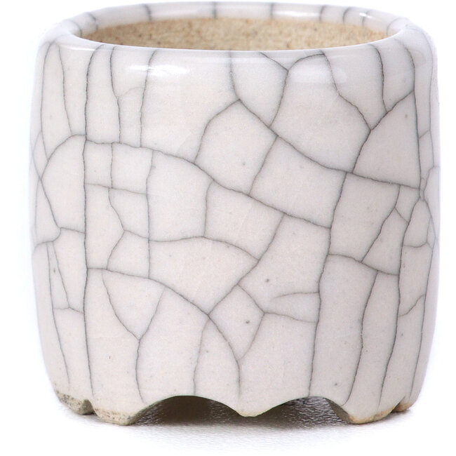 Maceta de bonsái blanca redonda - 30 x 30 x 30 mm