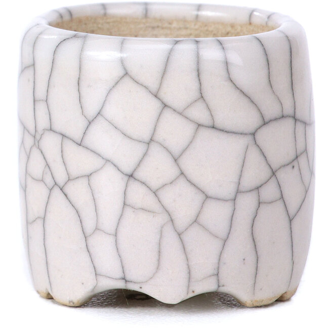 Maceta de bonsái blanca redonda - 30 x 30 x 30 mm