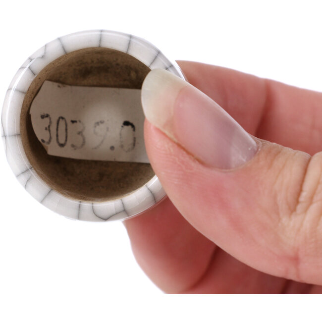 Ronde witte bonsaipot - 30 x 30 x 30 mm