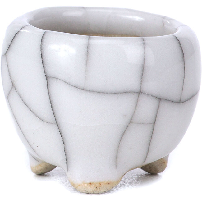 Pot à bonsaï rond blanc - 30 x 30 x 28 mm