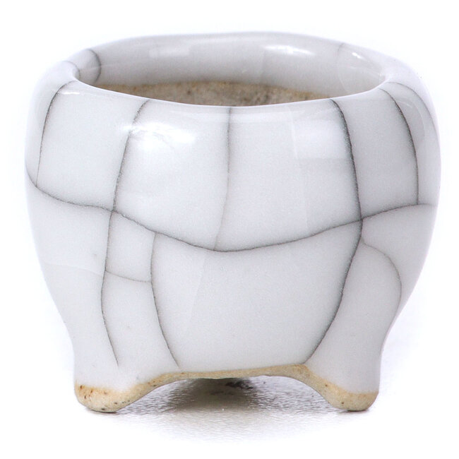 Vaso per bonsai rotondo bianco - 30 x 30 x 28 mm