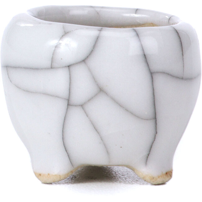 Maceta de bonsái blanca redonda - 30 x 30 x 28 mm